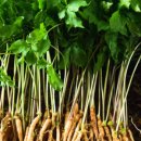 ㈜나래식품 이미지