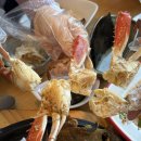 생생왕꽃게 | 태안 게국지맛집 꽃게탕 생생왕꽃게 애견동반 가족모임 찐추천