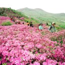 산청둘레길펜션 이미지