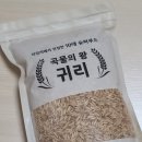 민이농장 이미지