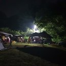 산속애견 이미지