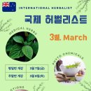 메디컬허브 이미지