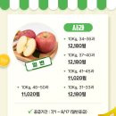 30170-8-10 네이버블로그