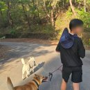 동암미술관카페