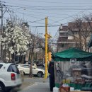 주공분식 | 만수주공 수담 분식 떡볶이 김말이 맛집 내돈내산 후기