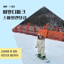 홍천 비발디파크 렌탈샵 추천 스마일 리프트권 할인 가격 세돌 아기 보드 후기