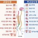로아신경과의원 이미지
