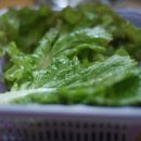 생수정식당