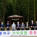 와룡지구 네이버블로그