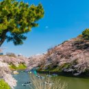 진보초등학교 이미지