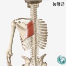 턴핏 네이버블로그