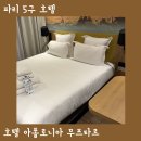 거림모텔 | 파리 아폴로니아 호텔 5구 숙소 HOTEL APOLONIA MOUFFETARD SURE HOTEL 내돈내산 후기