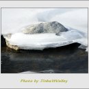 진부리유원지 이미지