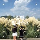 김해시농업기술센터 | 김해 가볼만한곳 사진 찍기 좋은 한적한 팜파스 스팟 포토존 위치 주차 후기