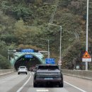 홍천점 현대자동차 | TCR 월드투어 레이스 직관 후기