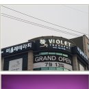 비올레테라피