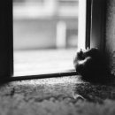 영광기획 이미지