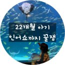 [대구 신세계 아쿠아리움] 아이랑 다녀온 후기. 아이랑 가기 좋은 실내나들이
