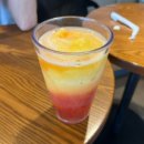 시크릿강릉 이미지