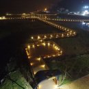 고우니