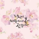 꽃피는봄날 이미지