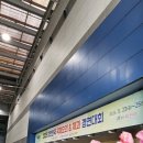 국제요리 &amp; 제과 경연대회 / 막걸리 엑스포 관람 후기