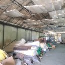 강서구-85 이미지