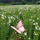 으뜸농장 2 이미지