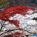 자갈자갈 이미지