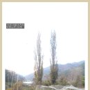 도원고등학교 이미지