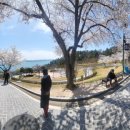 애니펀미술학원
