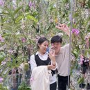 스마트플래닛 | 도쿄 여행 9 | 팀랩 플래닛 도쿄 내돈내산 후기 관람 꿀팁 (도쿄 가볼 만한 곳)