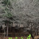산골농원