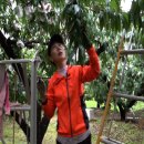 감곡농장 이미지