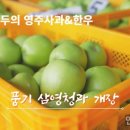 풍기청과