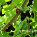 귀동농장 이미지