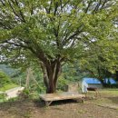 포레스테이 죽암 이미지