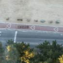 (유)동양엘피지 화장실 | [강릉 씨마크 호텔] '더 레스토랑' 조식 뷔페│시그니처 메뉴