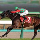 현창목장 이미지