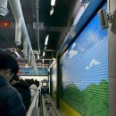 라인댄스(65세이하) | [해운대블루라인파크 스카이캡슐] 가격부터 탑승장 추천까지