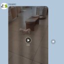 덕정 동물의료센터 이미지