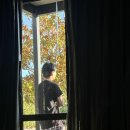[🇳🇿NZ신행] 와나카에서 시간보내기🌳 (6일차)