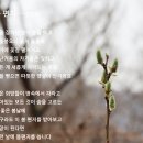 1069 | [울주] 간월산(肝月山 1,069m) 산행후기---2026년 4월 3일(금)