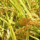 삼덕축산 이미지