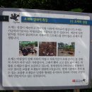 지산농원 이미지