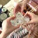 [제주] 회 포장 특집🐟 / 서귀포 미영이네 고등어회 &amp; 협재 경성수산 돌돔,딱새우 (강추!)