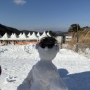 에덴벨리 | 경남 양산 가볼만한곳 에덴벨리 썰매장 후기