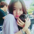 김향기 카카오 검색결과