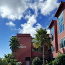 씨티오피스 | 제주 워케이션 오피스제주 사계점 / 서귀포 공유오피스 코워킹 스페이스 이용 후기