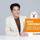 현대종합펫